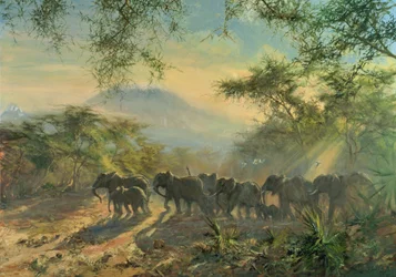 Elefant, Kilimandscharo, 1995